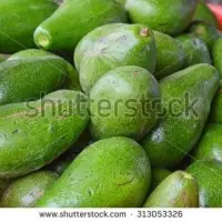 avocado for sale
