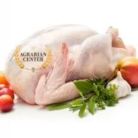 CHICKEN MEAT (whole chicken, fillet, legs, wings)