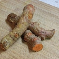 Raw Turmeric for sell