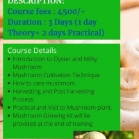 Mushroom Training