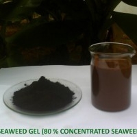 Seaweed Gel (Soil Conditioner)