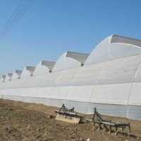 Needed Greenhouse on Lease in Uttrakhand and Himachal