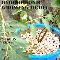 Plant Stone - Hydroponics Clay Pebbles for rapid plant growth QTY 1 kg