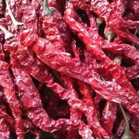 Dry Red Chilly from NTC Export