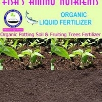 Terrace Garden Potting Soil - Fertilizer required for 6 months 