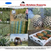 Shree Krishna Exports. shimoga / Shivamogga