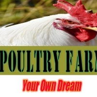 Best Poultry Farm In bhagalpur ,bihar 